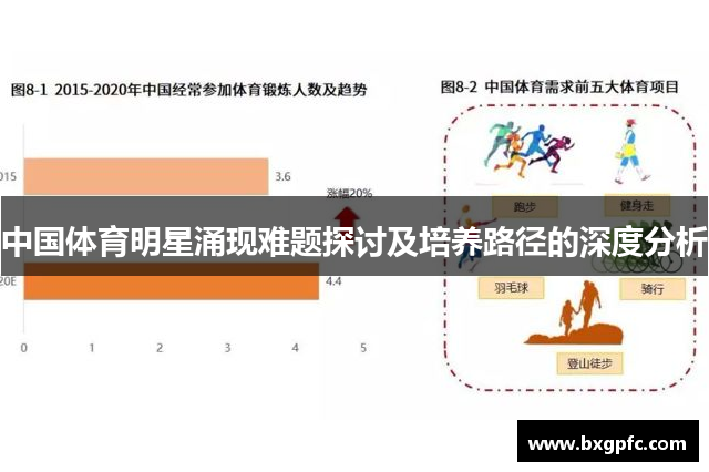 中国体育明星涌现难题探讨及培养路径的深度分析