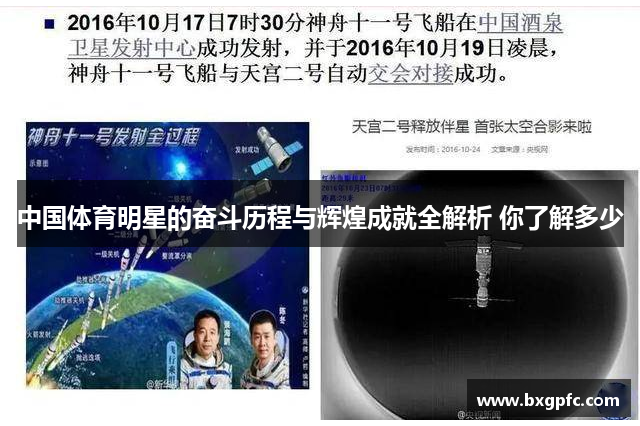 中国体育明星的奋斗历程与辉煌成就全解析 你了解多少